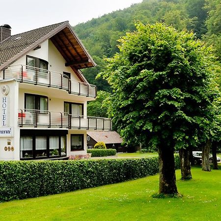Harz Hotel Iris Sieber Экстерьер фото
