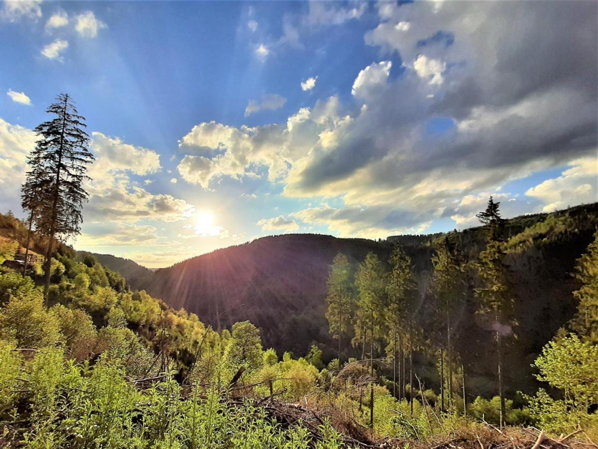Harz Hotel Iris Sieber Экстерьер фото