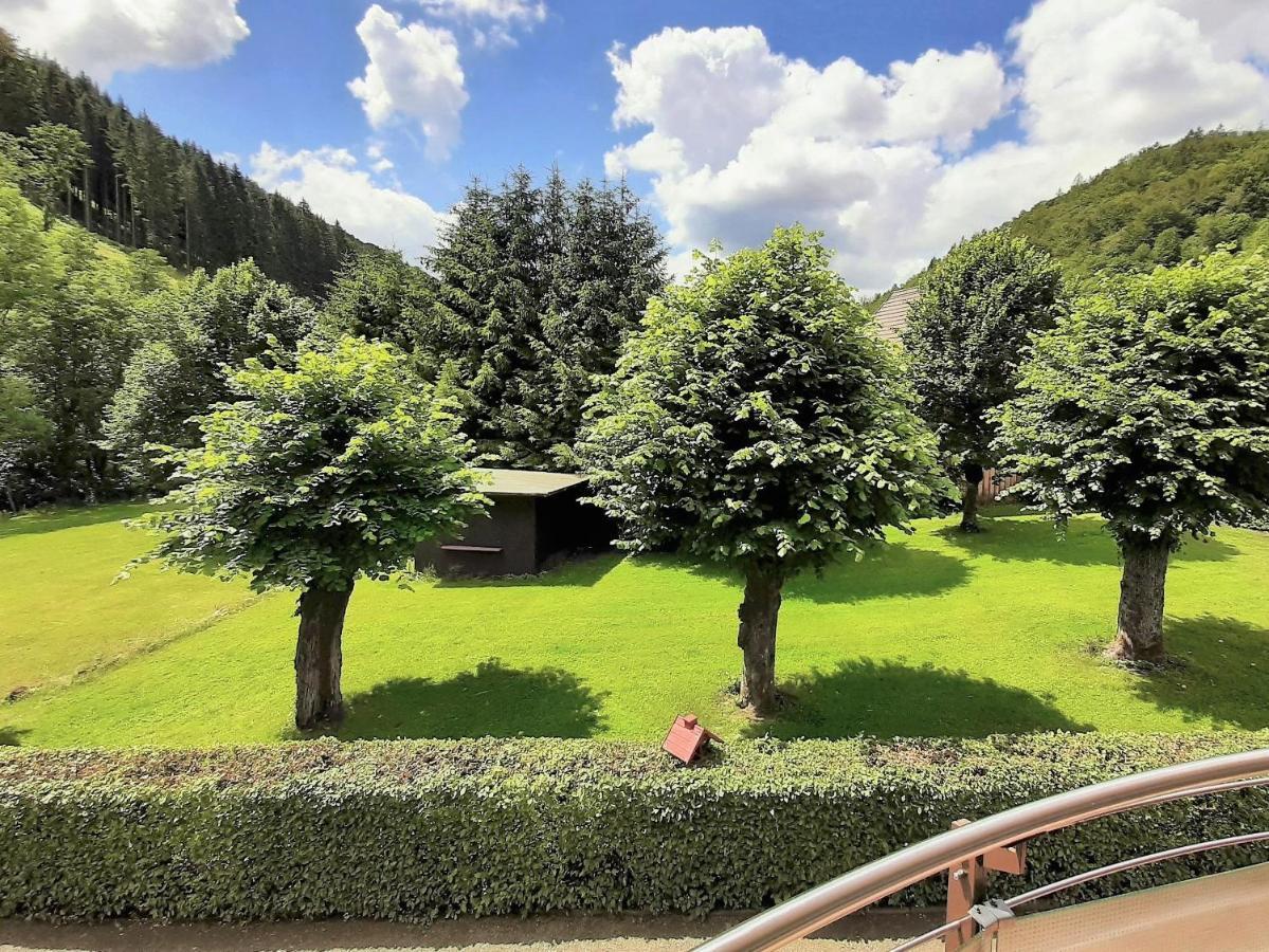 Harz Hotel Iris Sieber Экстерьер фото