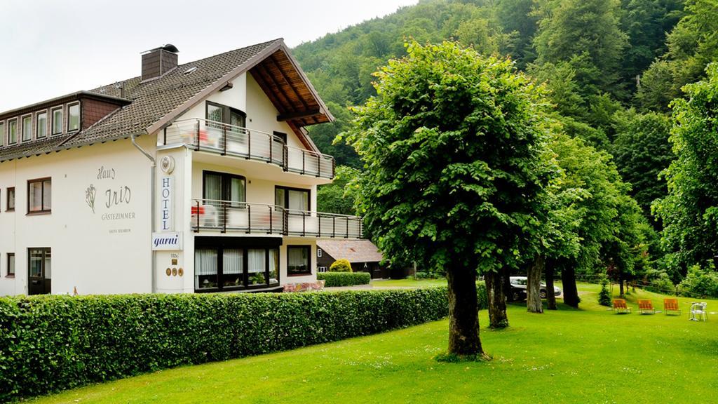 Harz Hotel Iris Sieber Экстерьер фото