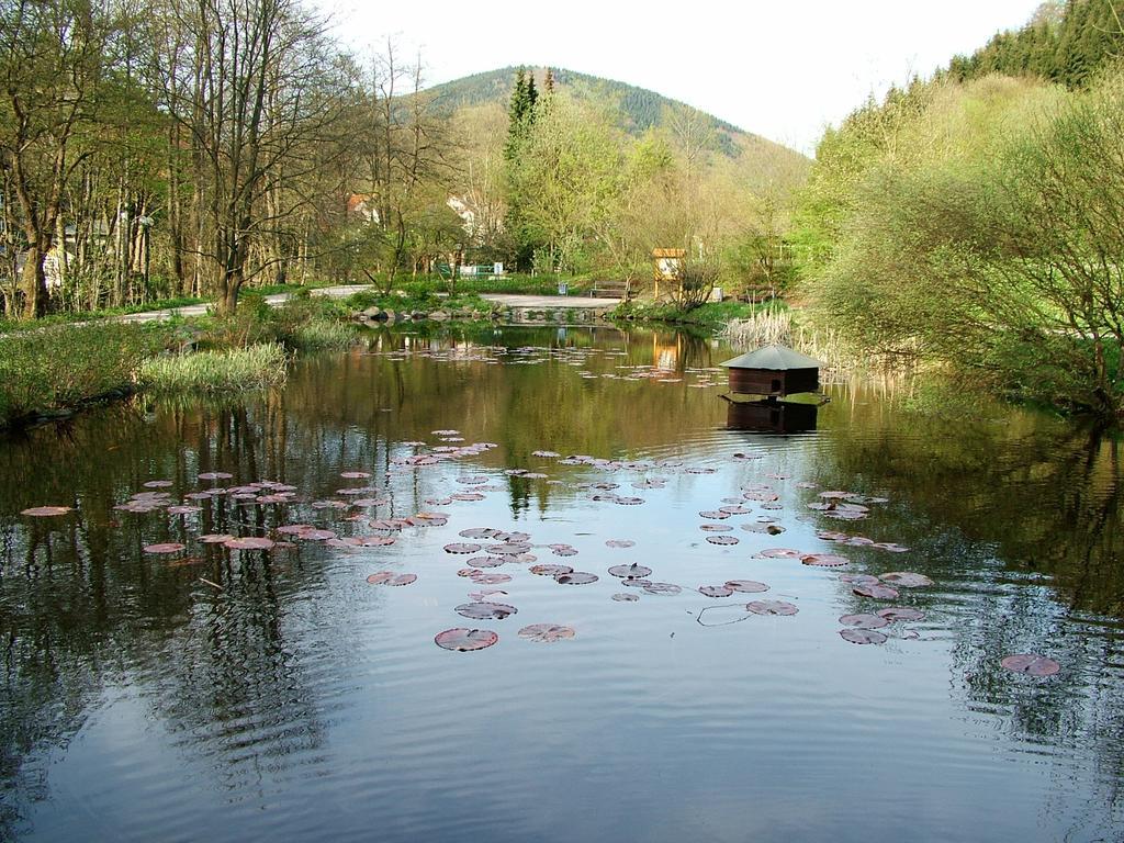 Harz Hotel Iris Sieber Экстерьер фото