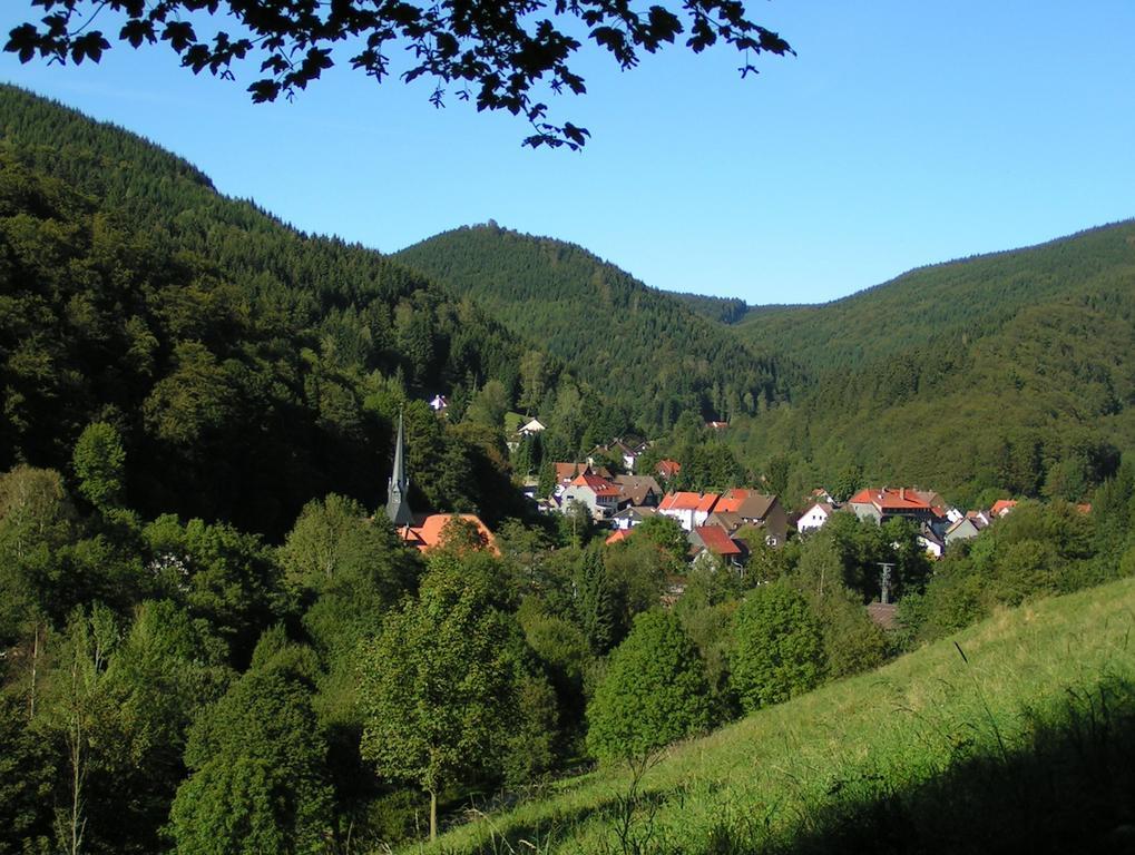 Harz Hotel Iris Sieber Экстерьер фото